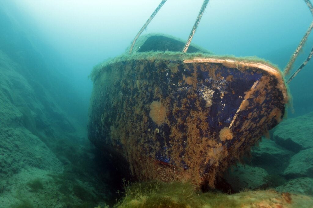 MG 2874