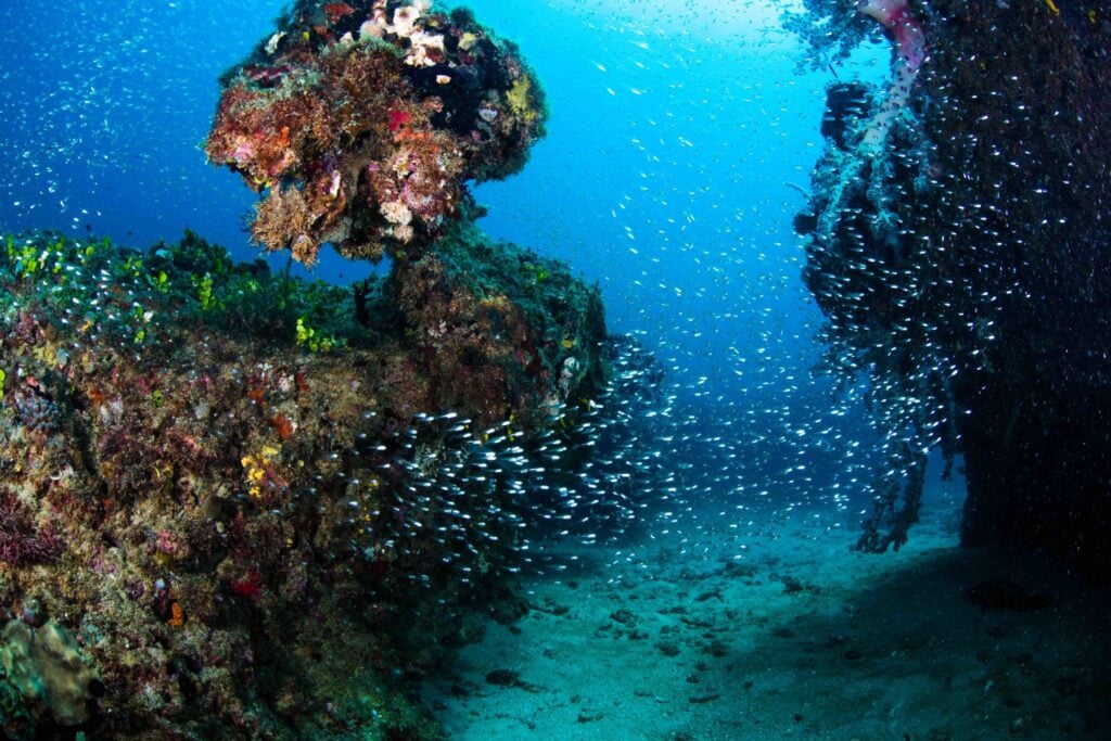 Explore Breathtaking Ningaloo Reef