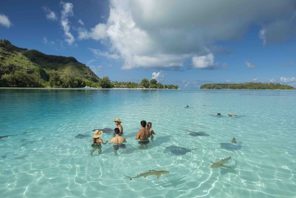 Largest Marine Sanctuary in the World Set to Expand