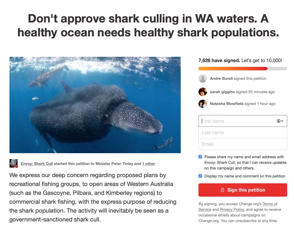 New Western Australia shark cull proposed 2 Envoy Film ask for the proposed Western Australia shark cull to be rejected.