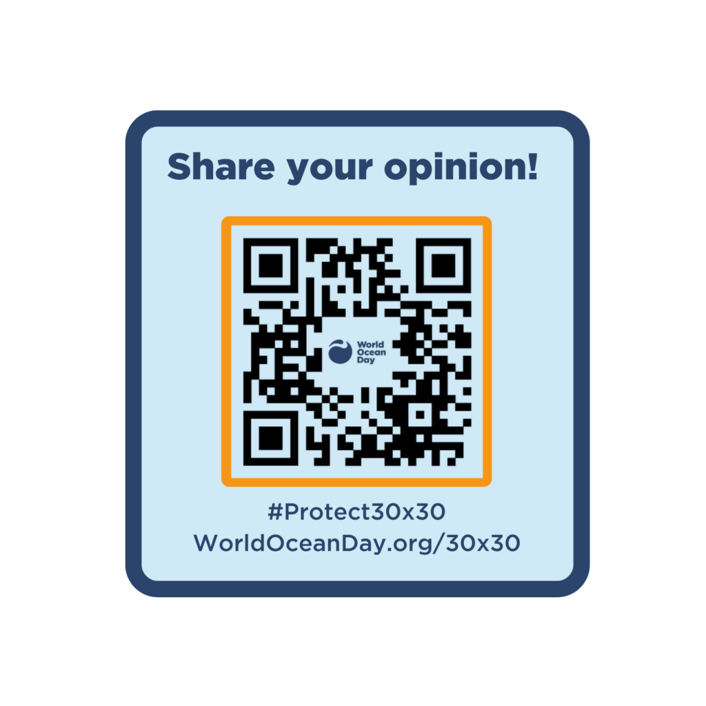 World Ocean Day 2023