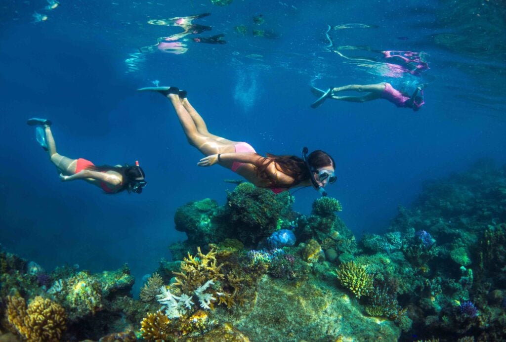 Captain Cook Cruises launch Citizen Scientist initiative