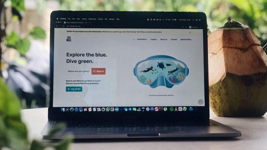 ZuBlu website