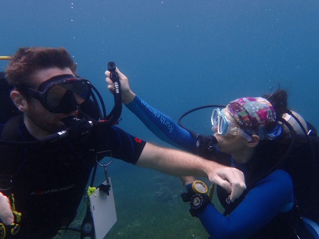 Reef-World launches updated online course 2 helping diver with lpi 50859410596 o 1