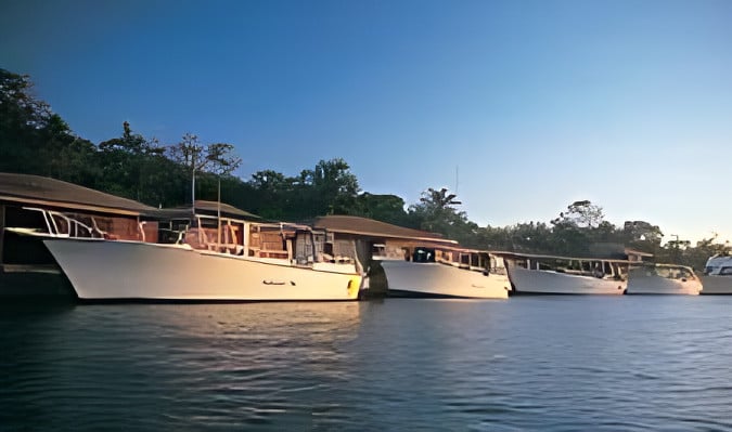 Anthony's Key Resort's impressive line-up of dive boats.