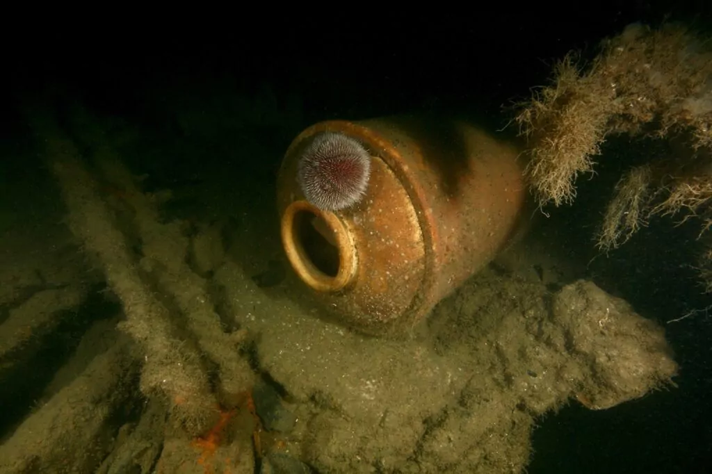Eagle shipwreck saved Scottish treasures for 166 years 16 A jar in the wreckage