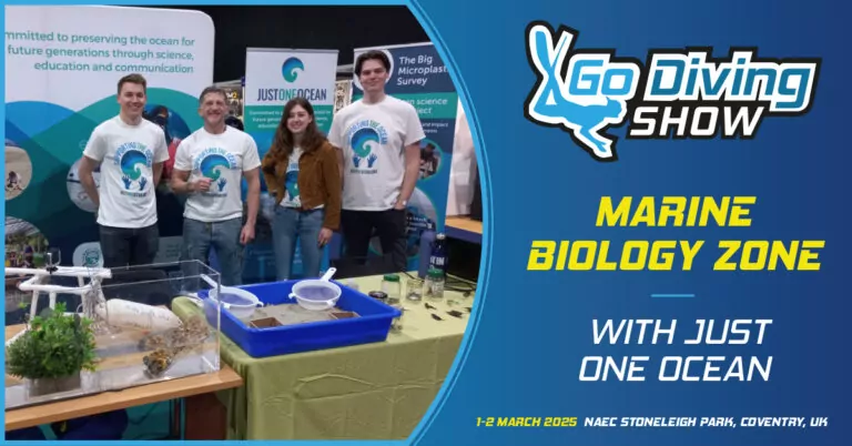 jūrų biologija