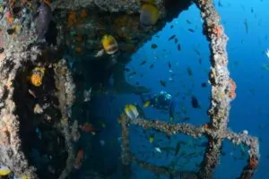 A New Chapter for HMAS Brisbane