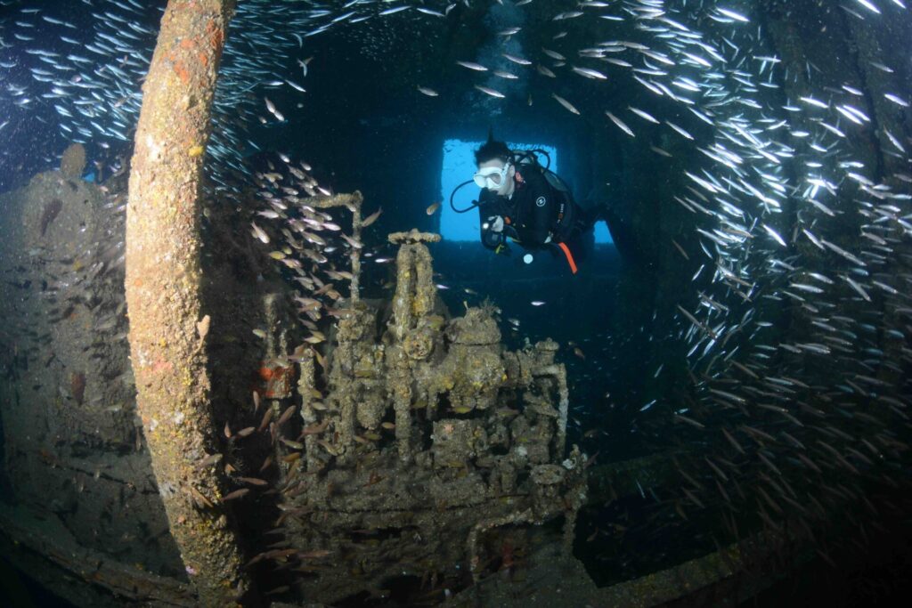 Kapitolu Ġdid għall-HMAS Brisbane 1 DSC 8755