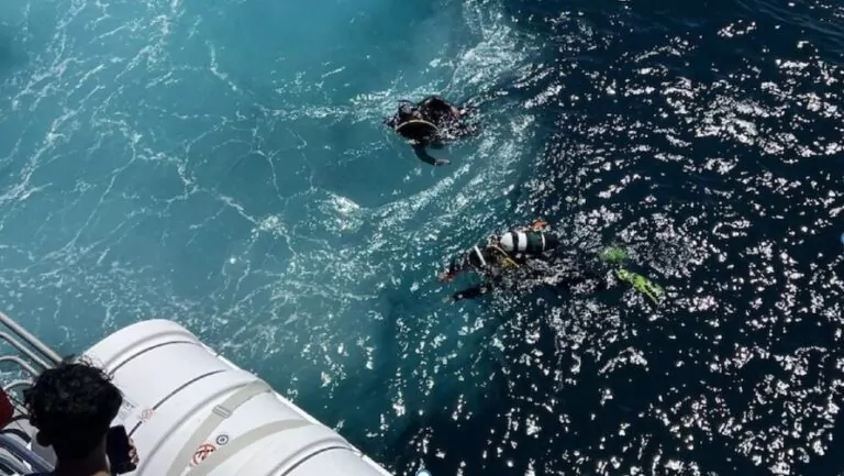Los buceadores vistos desde el ferry (Rottnest Fast Ferries)