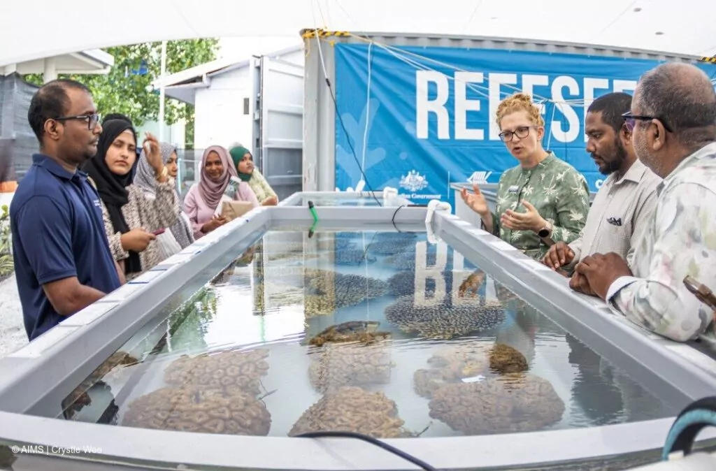 ReefSeed koraļļu projekts tika sveikts Maldīvu salās 2 Dr Carly Randall runā ar ReefSeed Open Day pasākuma viesiem (AIMS / Crystle Wee)