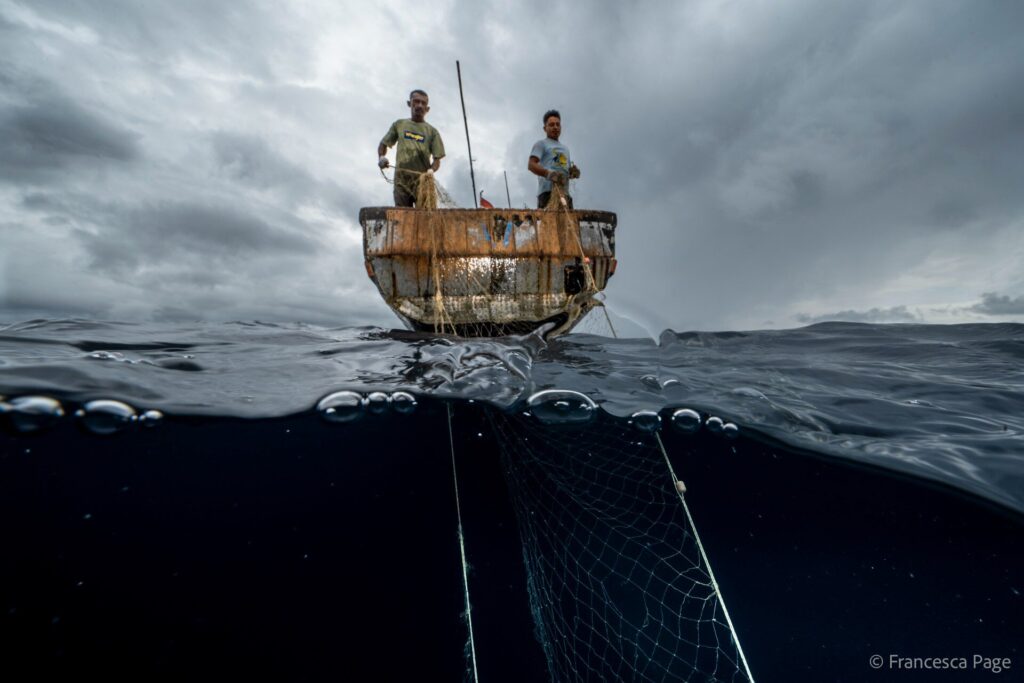 Pagar pescadores para soltar tubarões – há um porém 1 A colaboração entre pesquisadores e pescadores é uma parte fundamental de qualquer programa de conservação bem-sucedido (© Francesca Page)