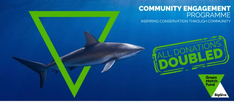 Shark Trust