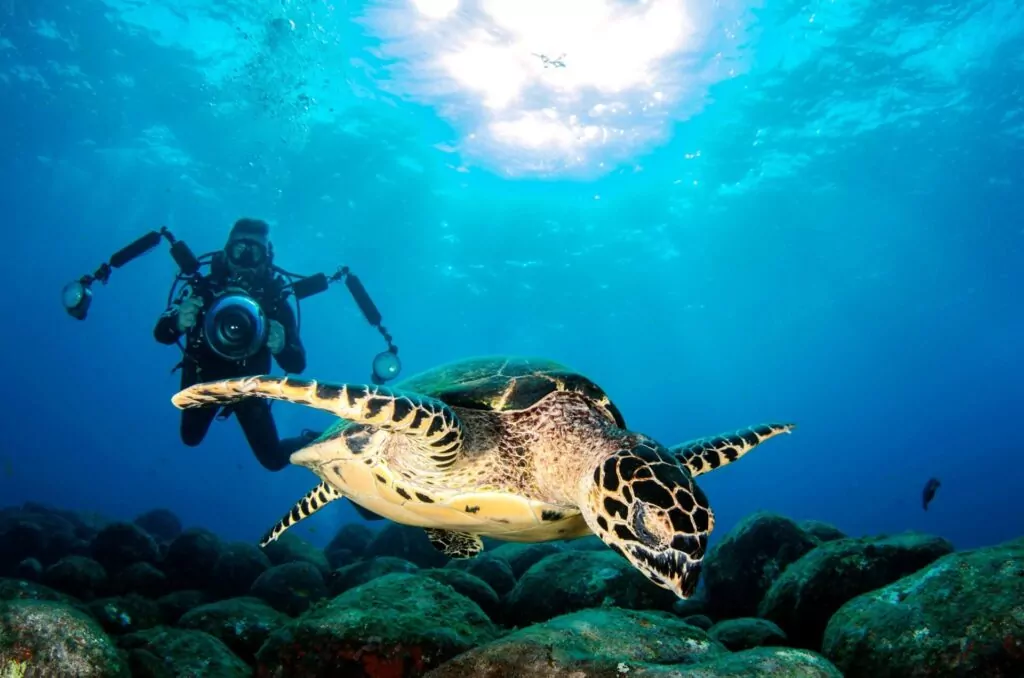Thailand bans u/w cameras for newbie divers