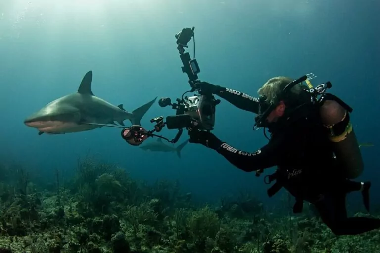 Shark Trust melancarkan peraduan foto penyertaan percuma