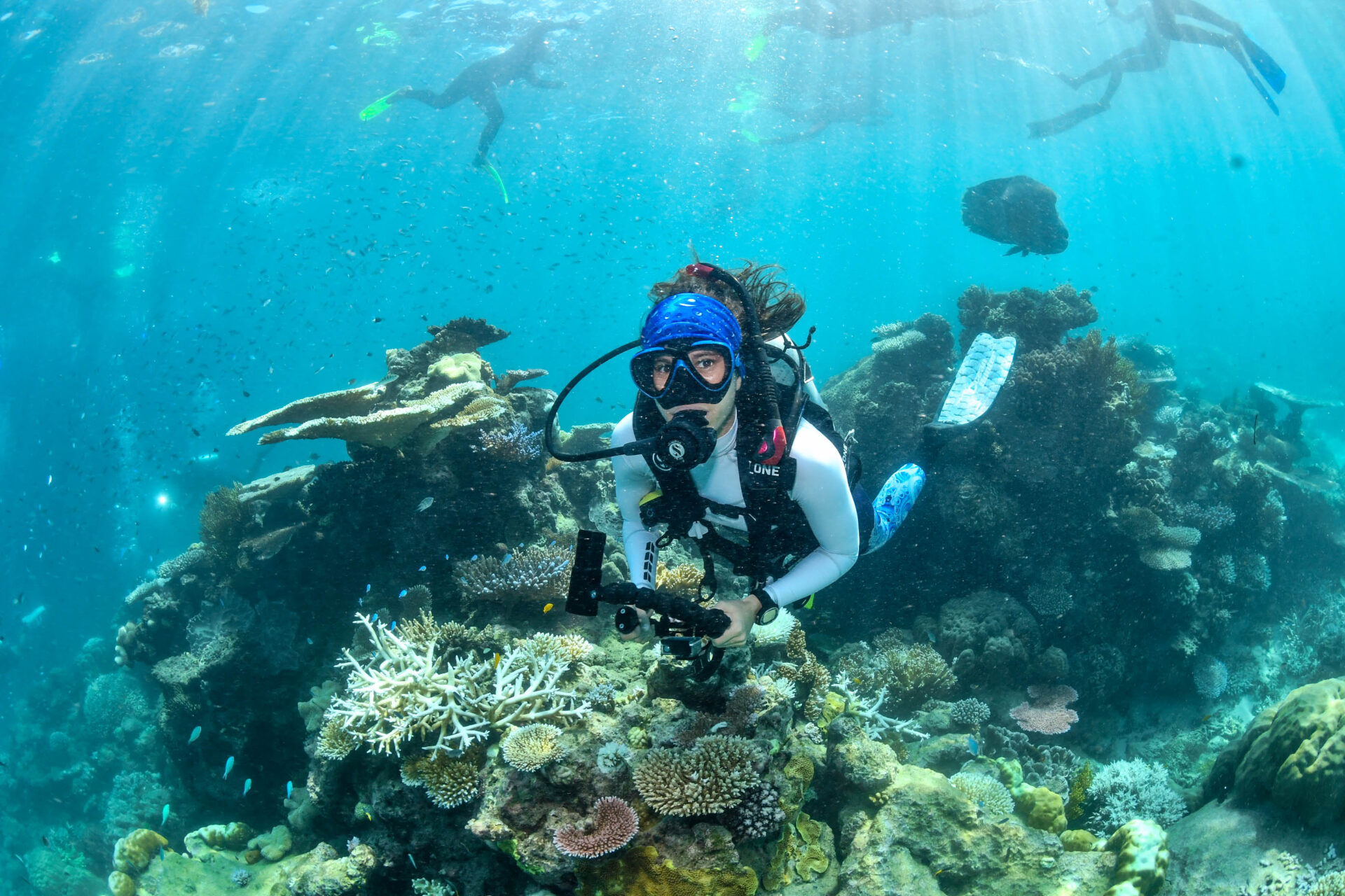 Word on the Reef