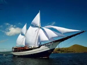 Dive Beyond The Ordinary With 3 Epic Expeditions