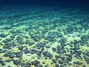 Nódulos de manganês no sudeste dos EUA (NOAA Office of Ocean Exploration & Research)