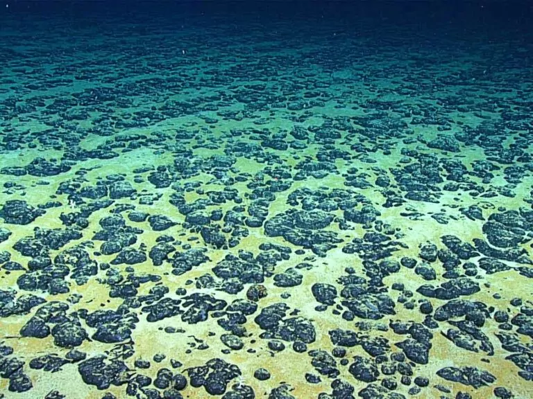 Noduli de mangan din sud-estul Statelor Unite ale Americii (NOAA Office of Ocean Exploration & Research)