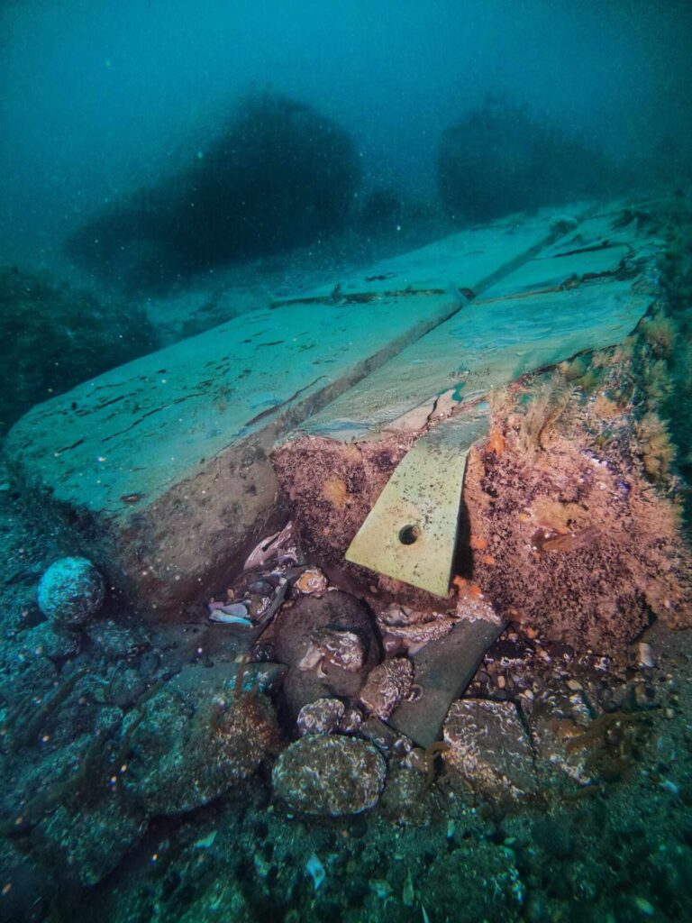 Vairas su bronziniu laikikliu (Endeavour komanda)