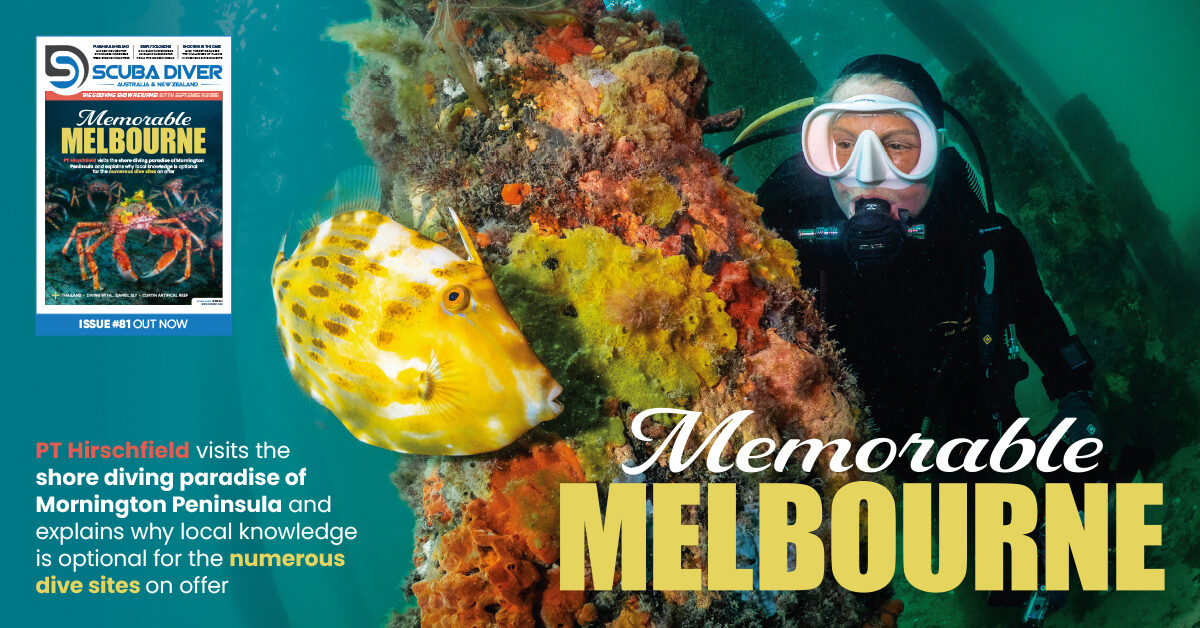 Scuba Diver ANZ Issue 81 Out Now