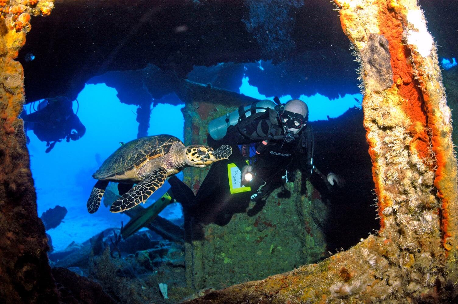 Divers invited to join in BVI Wreck Week