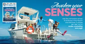Scuba Diver Severní Amerika