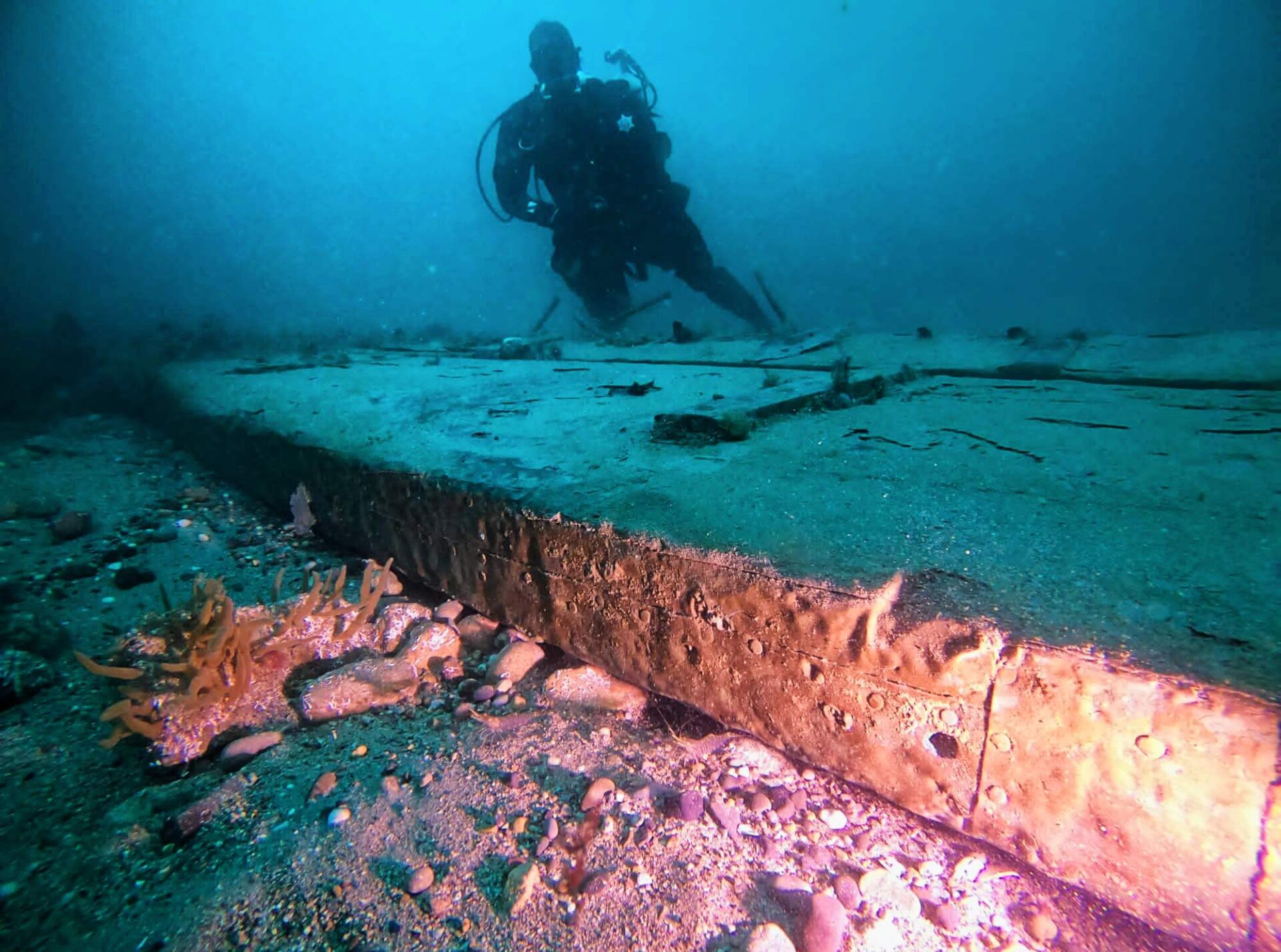 Divers find another rare rudder – marking buried treasure wreck?