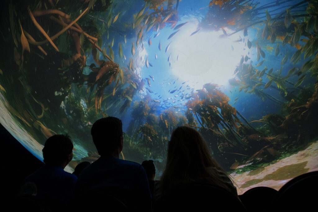 Scuba Show fait un retour réussi à Long Beach 4 À l'intérieur du Deco Dome immersif