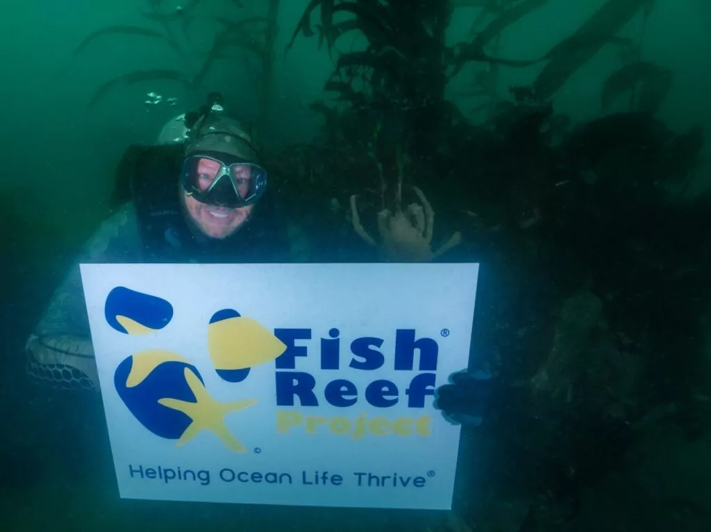 Dykarens löfte: Hur går det, 1 miljon dollar senare? Fish Reef-projektet börjar verka mer roligt (FRP)