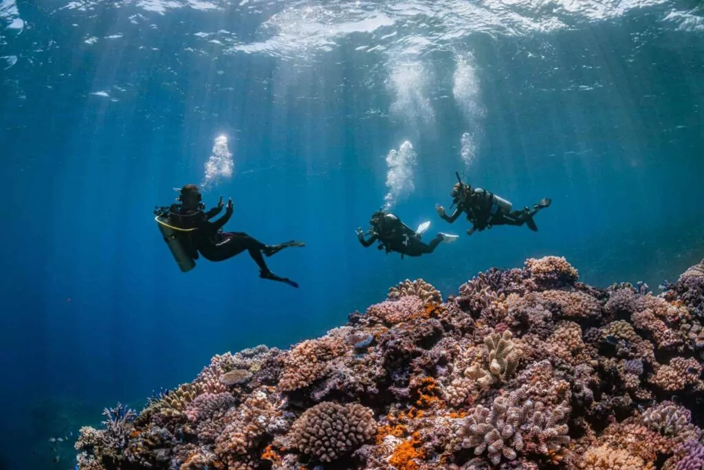 Immersioni alle Fiji in palio nella sfida PADI Master 2 In formazione (PADI)