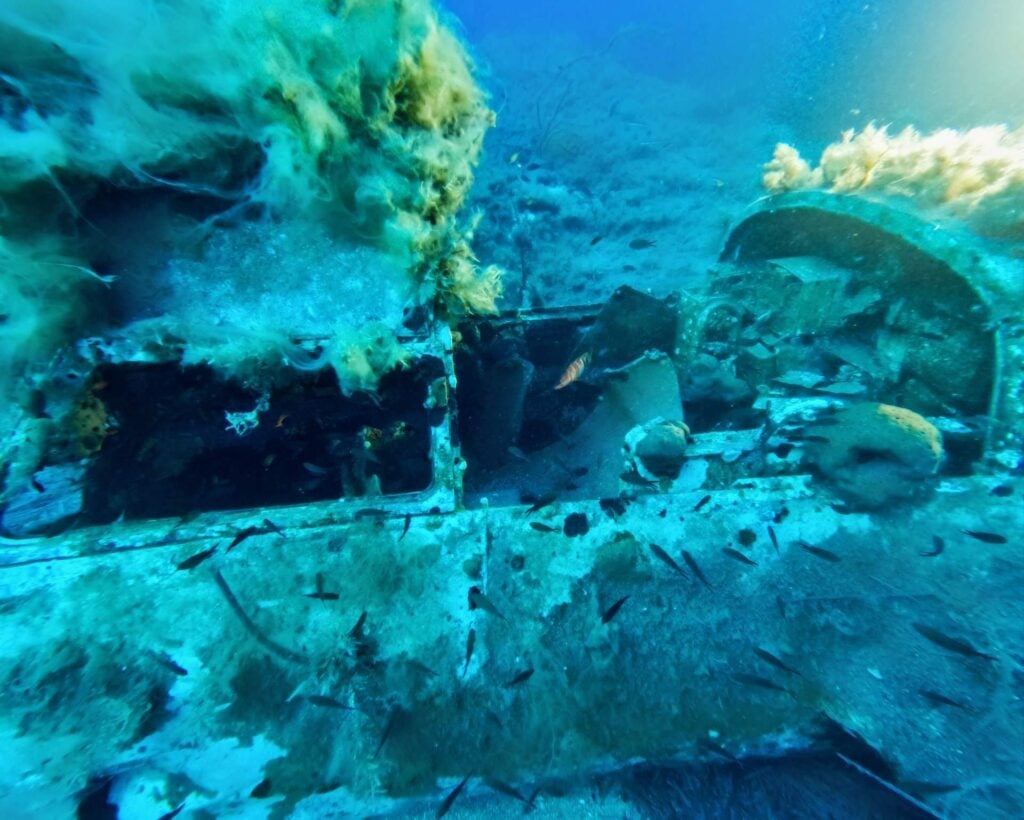 Side view of the cockpit