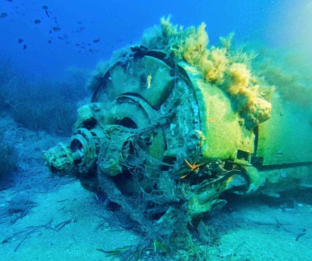 Port engine