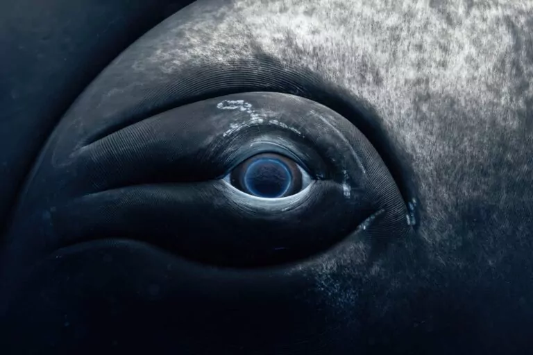 (Rachel Moore / www.unworldoceansday.org)