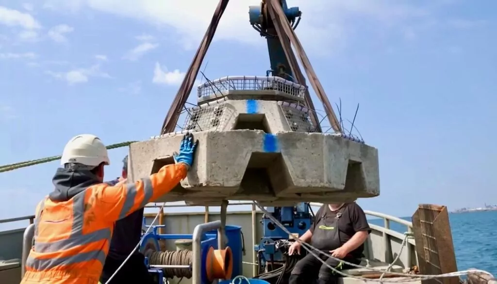 Maniobra de la estructura de 3.2 toneladas (Sussex Underwater)