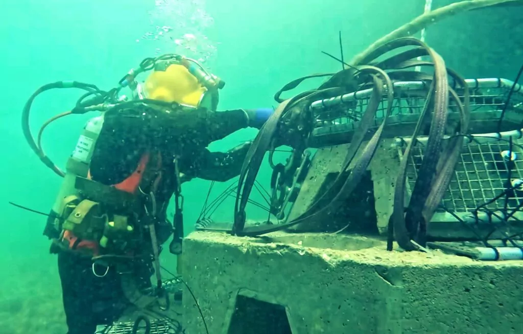 Nurkowie instalują pierwszy „Minter Hotel” u wybrzeży Sussex 3 Na dnie morza (Sussex Underwater)