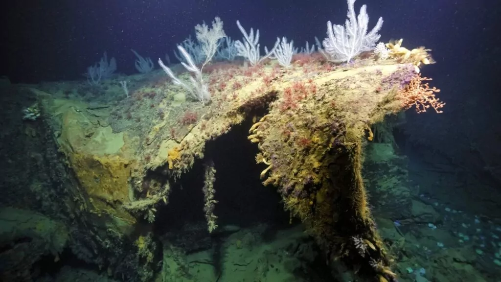 Ikoninen toisen maailmansodan aikainen risteilijän keula löydetty Salomonsaarilta 2 (Nautilus Live / Merentutkimusrahasto)