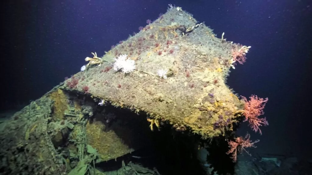 Ikoninen toisen maailmansodan aikainen risteilijän keula löydetty Salomonsaarilta 2 (Nautilus Live / Merentutkimusrahasto)
