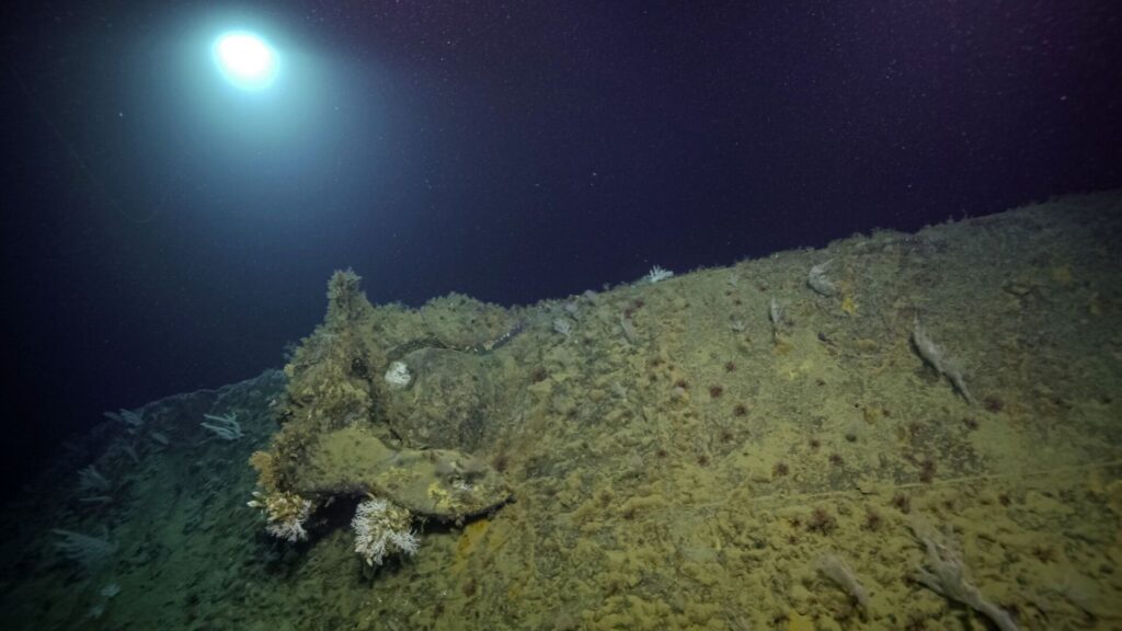 Ikoninen toisen maailmansodan aikainen risteilijän keula löydetty Salomonsaarilta 2 Osia USS New Orleansin hylystä (Nautilus Live / Ocean Exploration Trust)