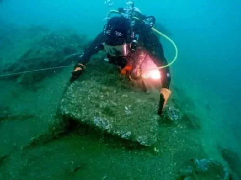 Водолаз осматривает деревянный сундук (MSDS Marine)
