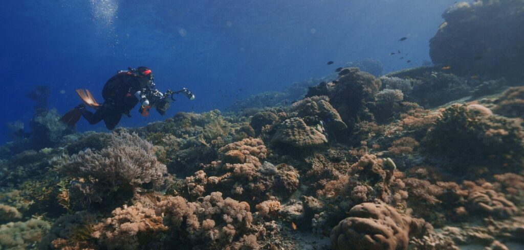 Ocean Film Festival na britanskoj turneji 4 Ronilac u Soulsu