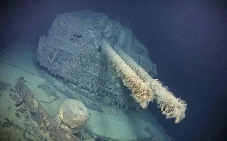 Broń na IJN Teruzuki (Ocean Exploration Trust)