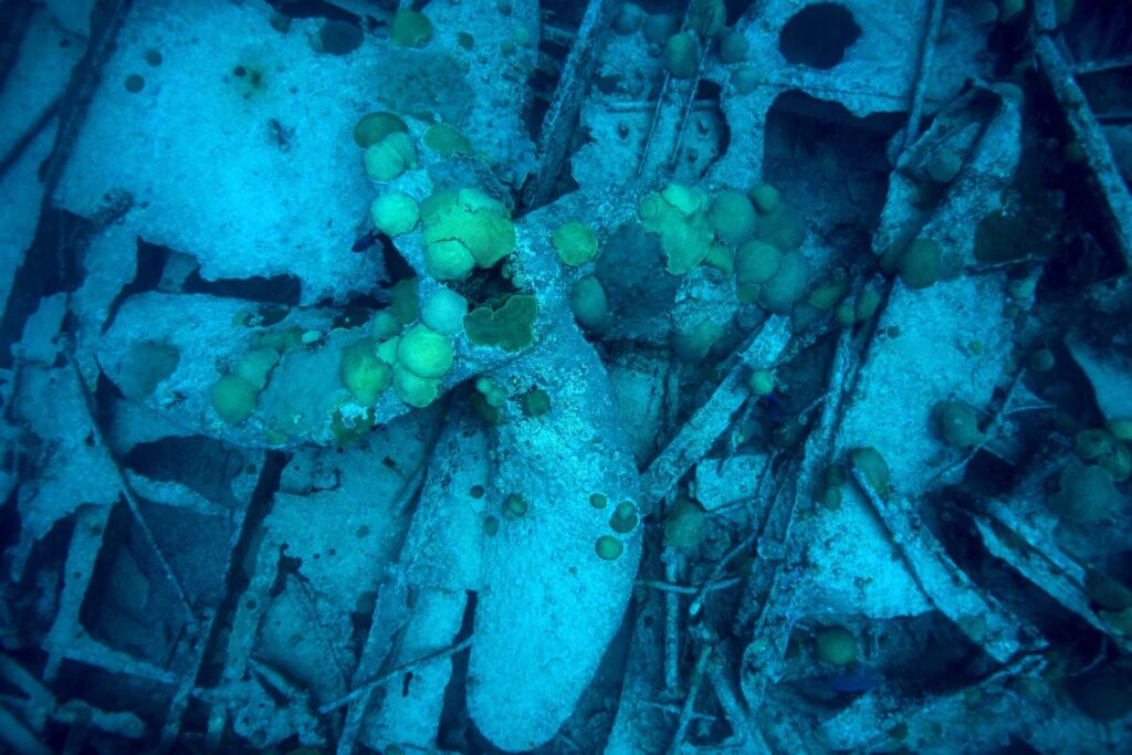 Bermuda (kolmnurga) laevavrakkides sukeldumine 5 Pelinaioni propeller seisab paigal