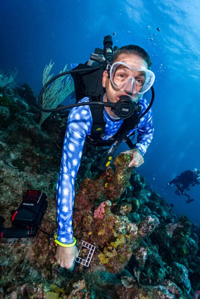 Explorer Ventures - Korallide kaitsmine, üks sukeldumine korraga 2 Explorer Ventures