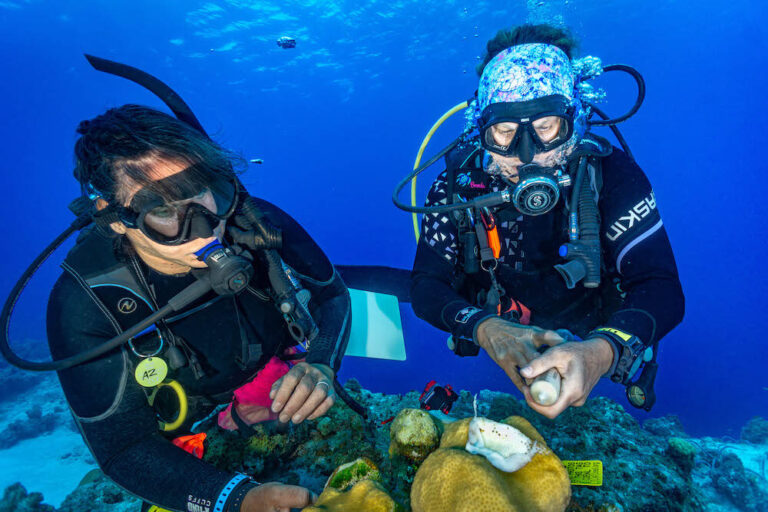 Explorer Ventures