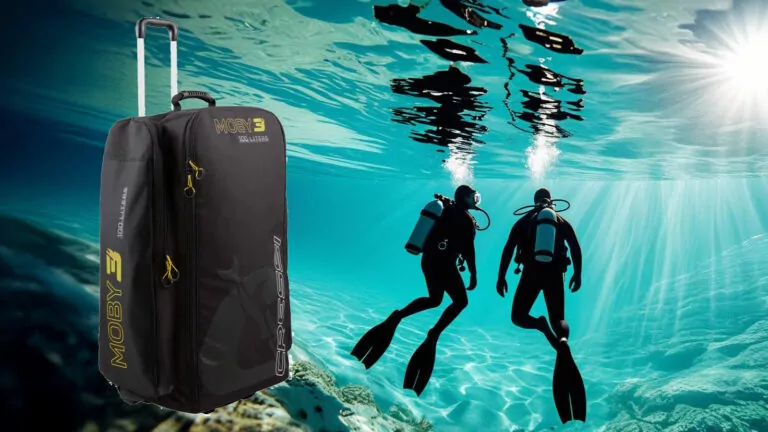 Best Dive Bag For Travel 2025