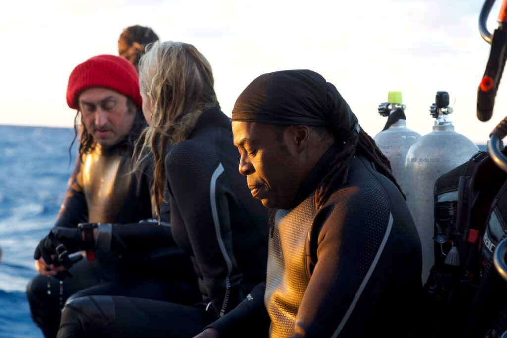 Обзор ТВ: АКУЛА! Воды, заражённые знаменитостями 6 Ade Adepitan - sharks a bonus (ITV)
