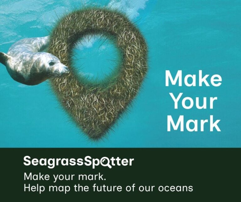 SeagrassSpotter