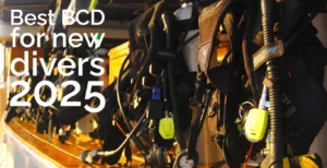 Best BCD for New Divers 2025