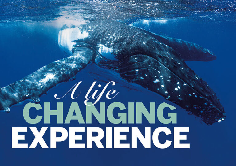 Pablo Fuenzalida - 2024 Our World-Underwater Scholarship